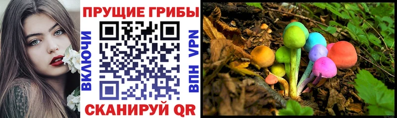 наркошоп  Тында  Псилоцибиновые грибы ЛСД 
